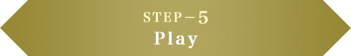 STEP−5 Play